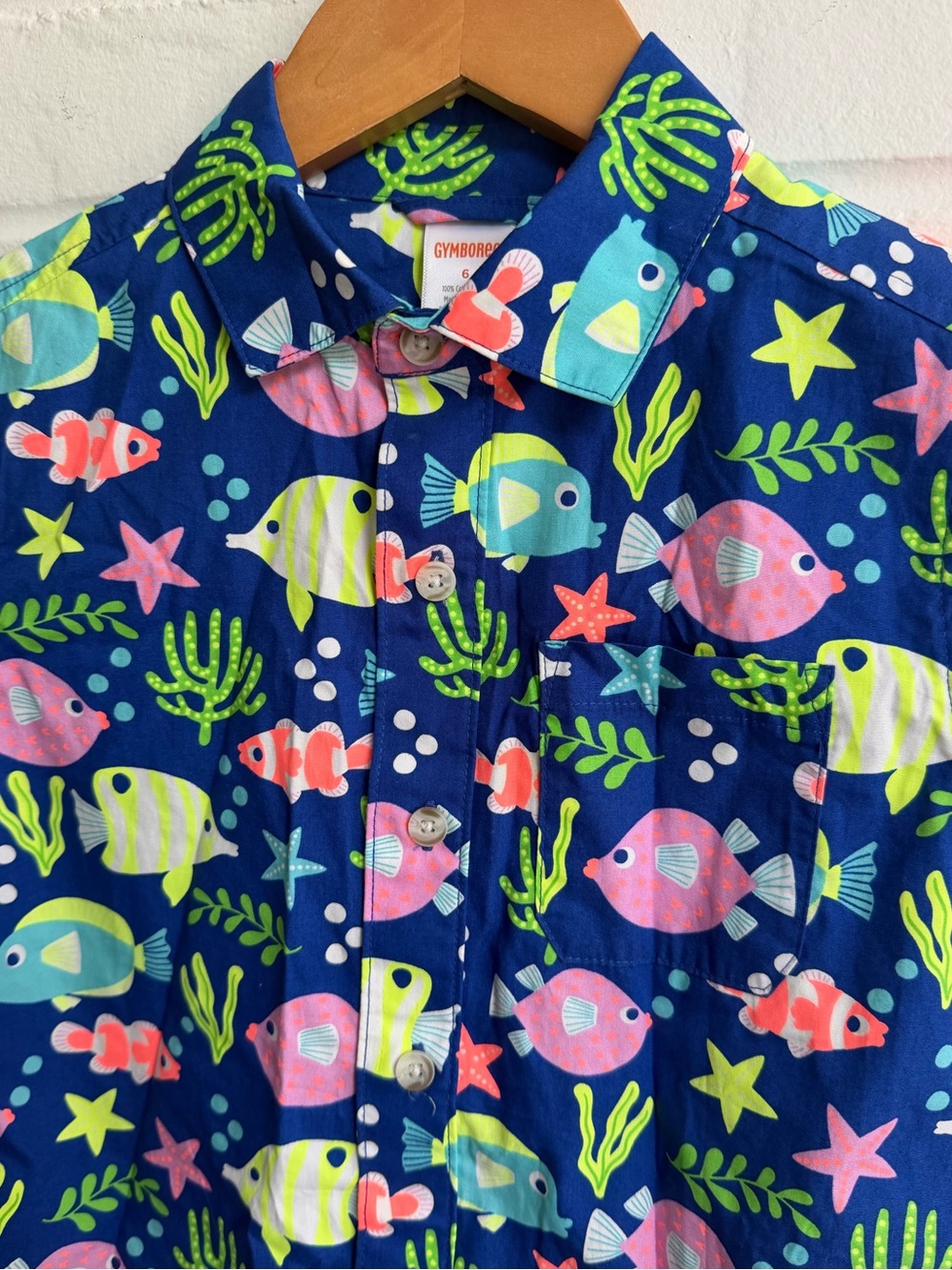 Gymboree button down - Picture 2 of 5